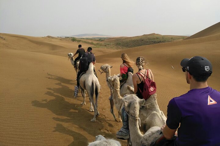 Inner Mongolia Hohhot 1Day Kubuqi Desert (Whistling Dune Bay)Tour