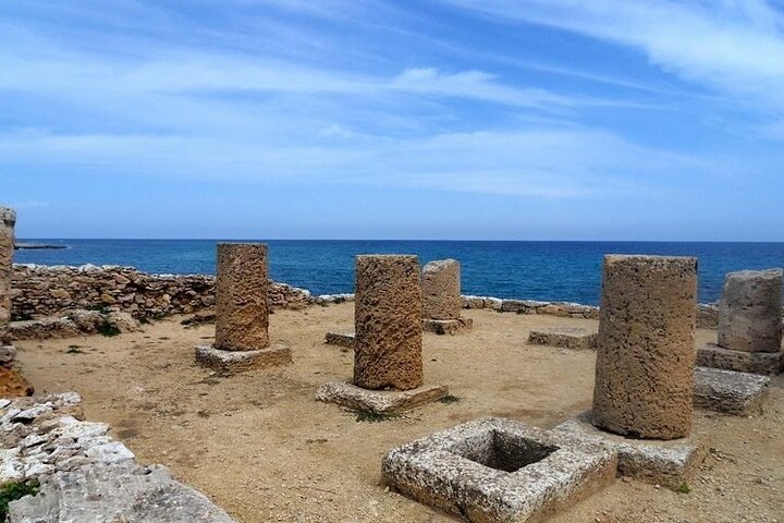 Private Day Trip to Cape Bon