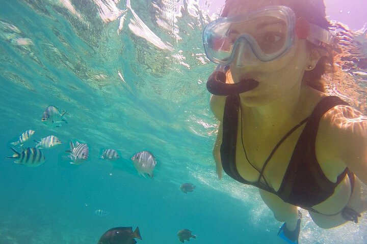 Swimming with DOLPHINS IN MNEMBA