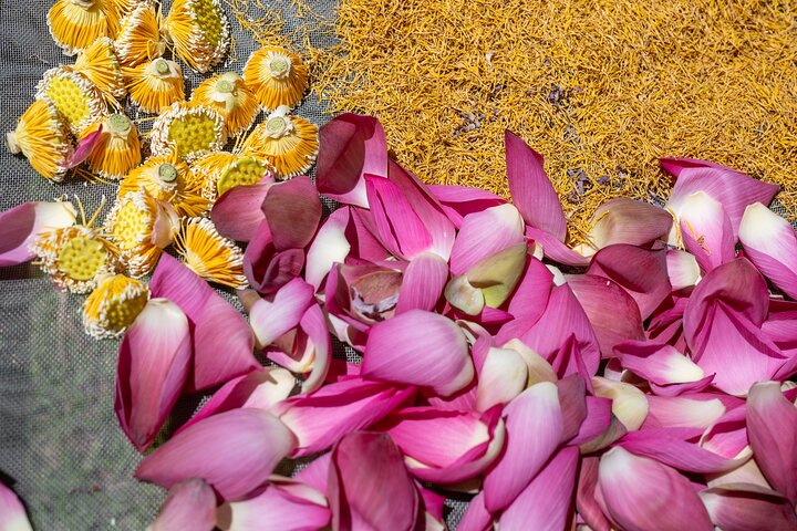 Siem Reap Lotus Silk Farm - Artisans Immersion