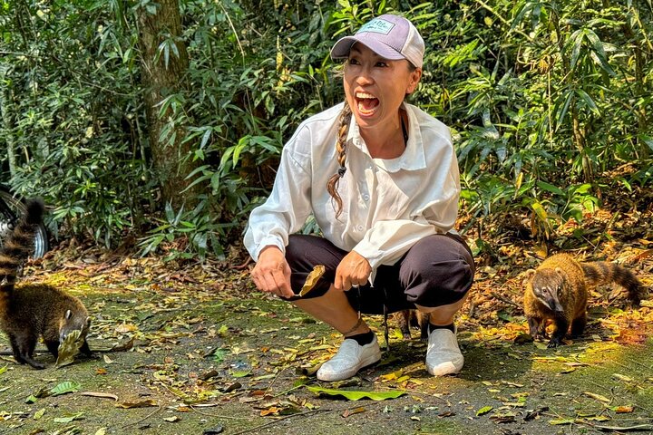 Rio: Tijuca Rainforest Hike, Wildlife, Waterfalls & Caves