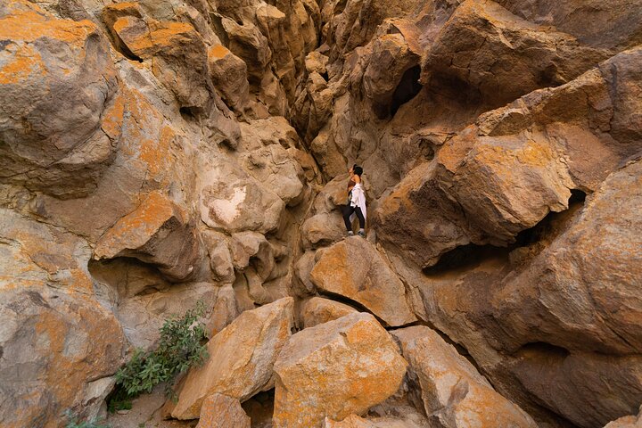 Tenerife Wonder Walk