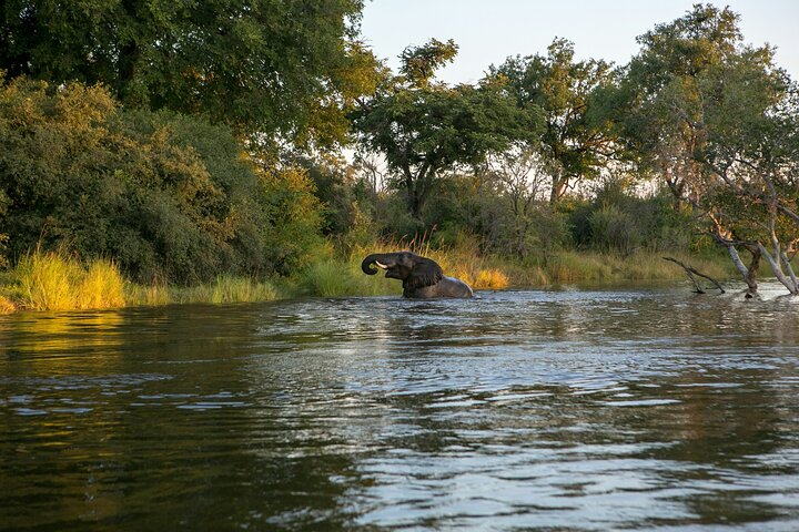Zambezi Sunset Cruise – Wildlife, Drinks & Breathtaking Views