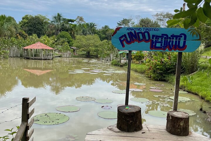 Full-Day All-Inclusive Guided Jungle Tour from Iquitos