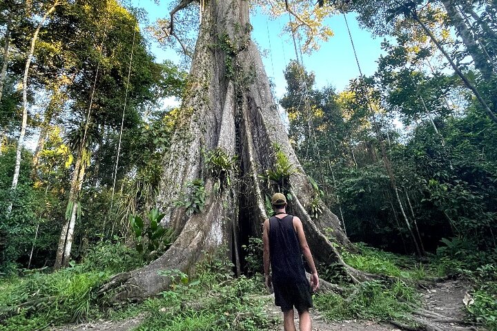 Full-Day All-Inclusive Guided Jungle Tour from Iquitos