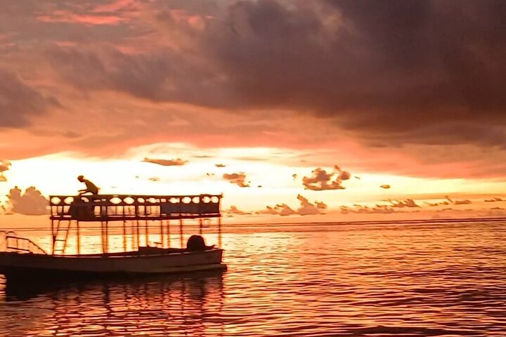 2 Hours Turtle Feeding, Shipwreck & Reef Snorkeling Tour Barbados