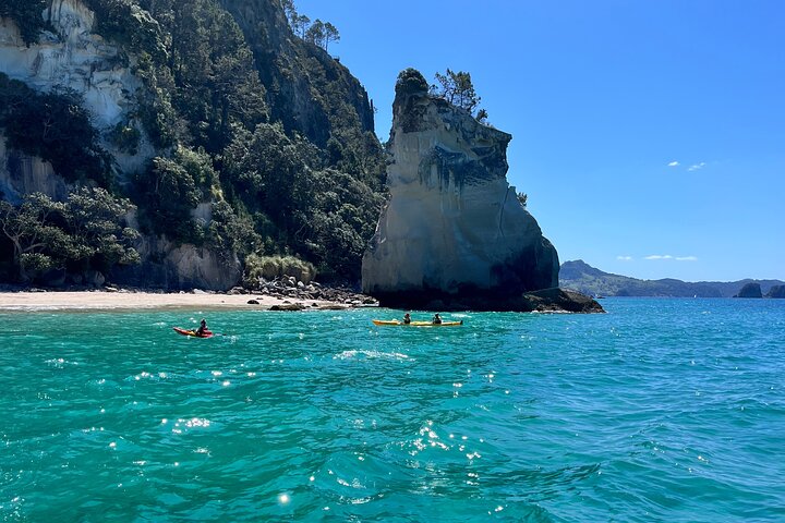 2 Days Private Tour in Coromandel Peninsula from Hamilton