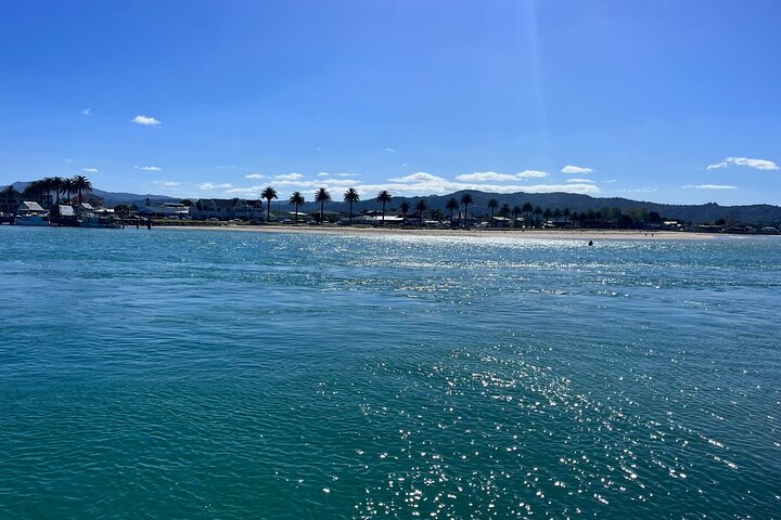 2 Days Private Tour in Coromandel Peninsula from Hamilton