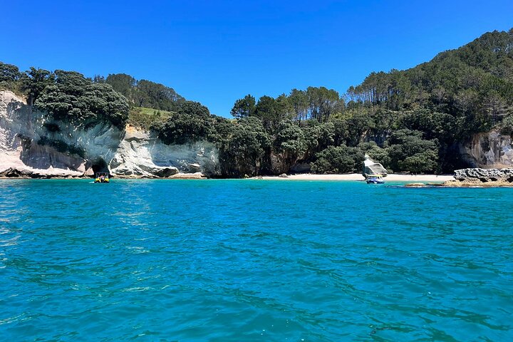 2 Days Private Tour in Coromandel Peninsula from Hamilton