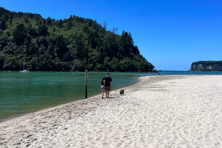 2 Days Private Tour in Coromandel Peninsula from Hamilton