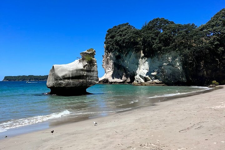 2 Days Private Tour in Coromandel Peninsula from Hamilton