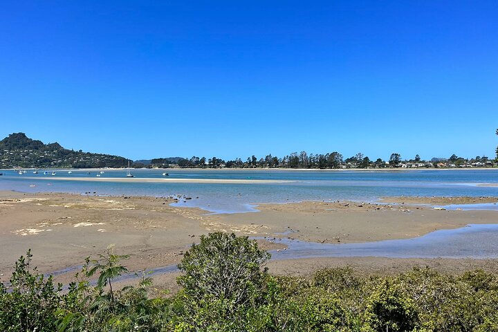 2 Days Private Tour in Coromandel Peninsula from Hamilton