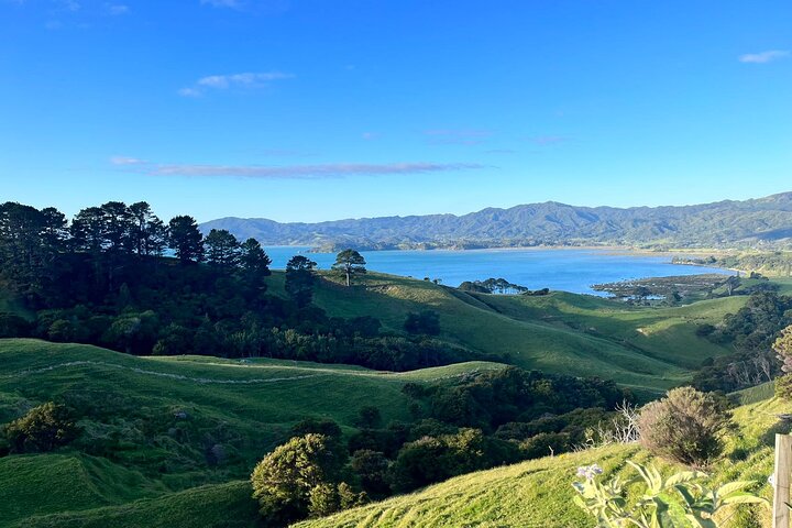 2 Days Private Tour in Coromandel Peninsula from Hamilton