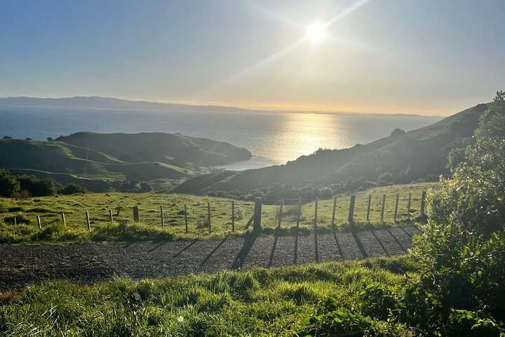 2 Days Private Tour in Coromandel Peninsula from Hamilton