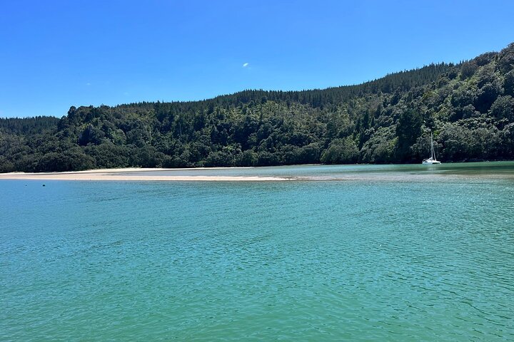 2 Days Private Tour in Coromandel Peninsula from Hamilton