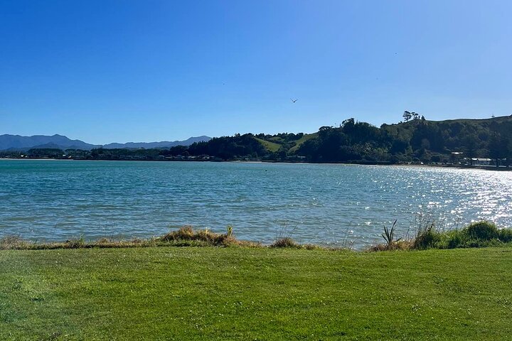 2 Days Private Tour in Coromandel Peninsula from Hamilton