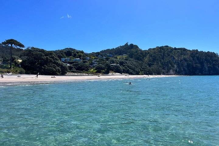 2 Days Private Tour in Coromandel Peninsula from Hamilton