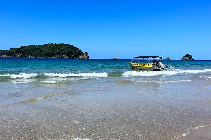 2 Days Private Tour in Coromandel Peninsula from Hamilton
