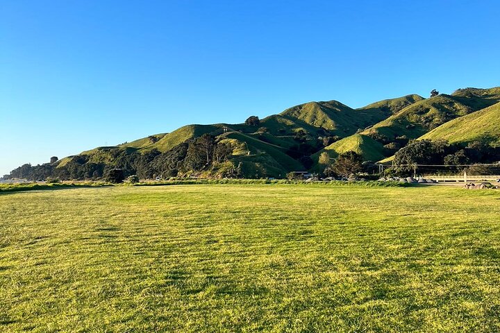 2 Days Private Tour in Coromandel Peninsula from Hamilton