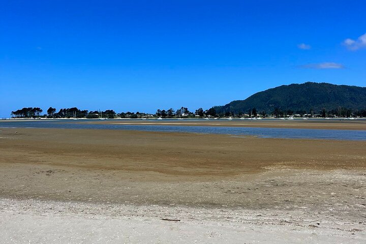 2 Days Private Tour in Coromandel Peninsula from Hamilton
