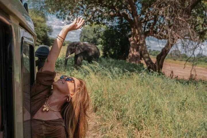 1. Day safaris to Mikumi by Train from dar es salaam