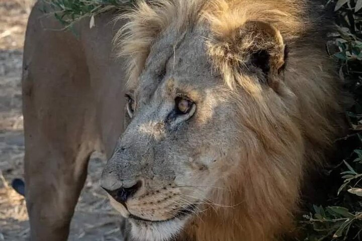 1. Day safaris to Mikumi by Train from dar es salaam