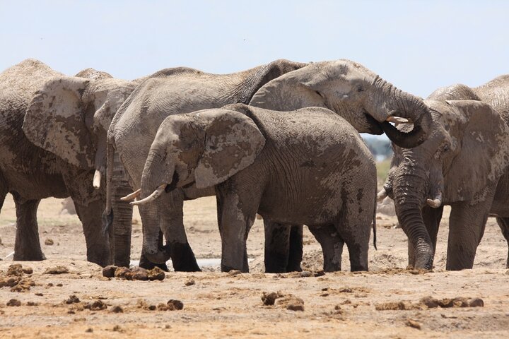 4 Day All Inclusive Tour to Boteti, Delta and Pans