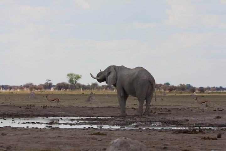4 Day All Inclusive Tour to Boteti, Delta and Pans
