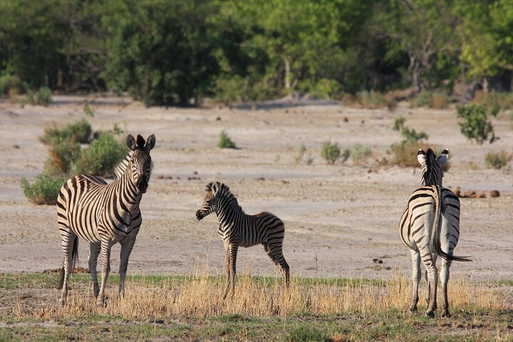 4 Day All Inclusive Tour to Boteti, Delta and Pans
