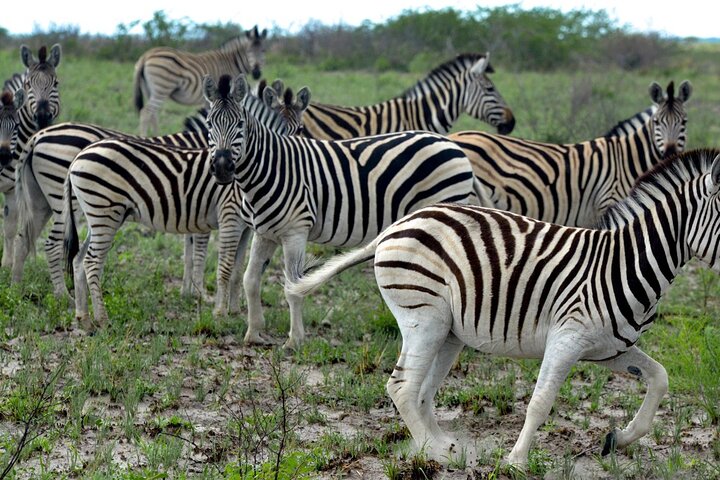 4 Day All Inclusive Tour to Boteti, Delta and Pans