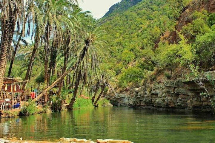 Guided paradise Valley excursion & Atlas Mountains swimming pools