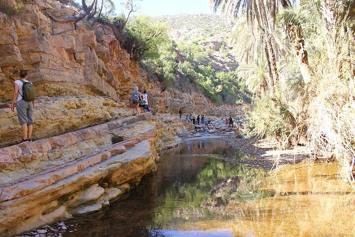 Paradise Valley tour & Goats on Argan Trees Package from Agadir