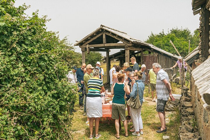 Sicilian Villages & Ricotta Tasting - including Lunch from Cefalu