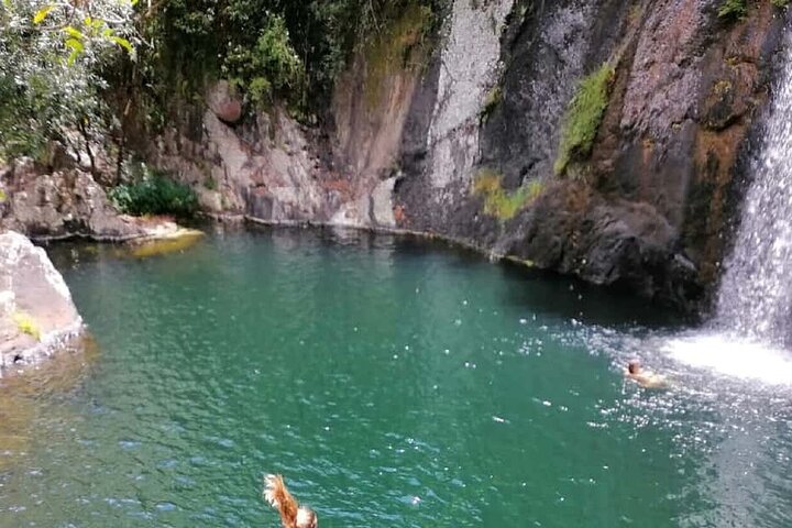Guided paradise Valley excursion & Atlas Mountains swimming pools