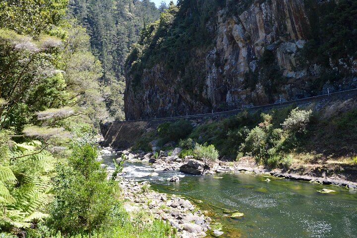 2 Days Private Tour in Coromandel Peninsula from Hamilton