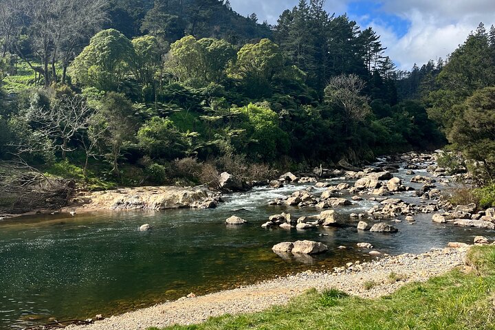 2 Days Private Tour in Coromandel Peninsula from Hamilton