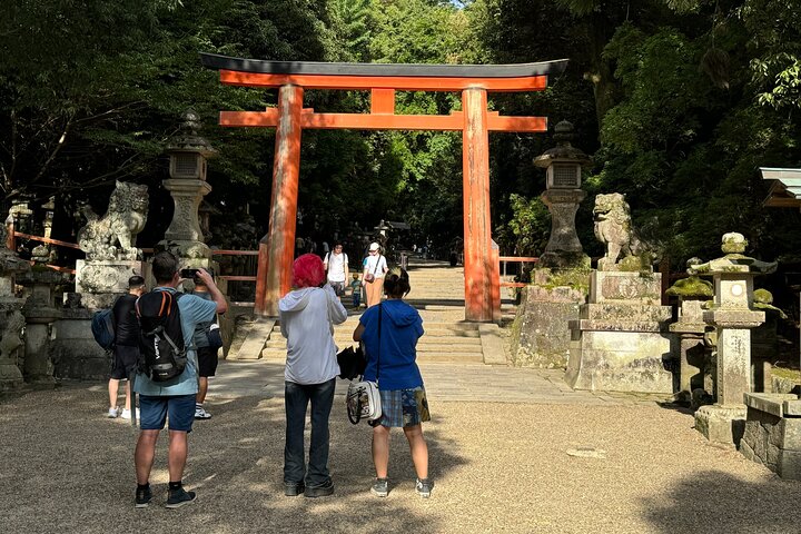 Nara: Half-Day Private Tour of 4 Must-See Spots & Deer Park