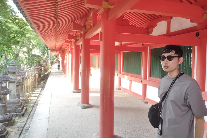 Nara: Half-Day Private Tour of 4 Must-See Spots & Deer Park