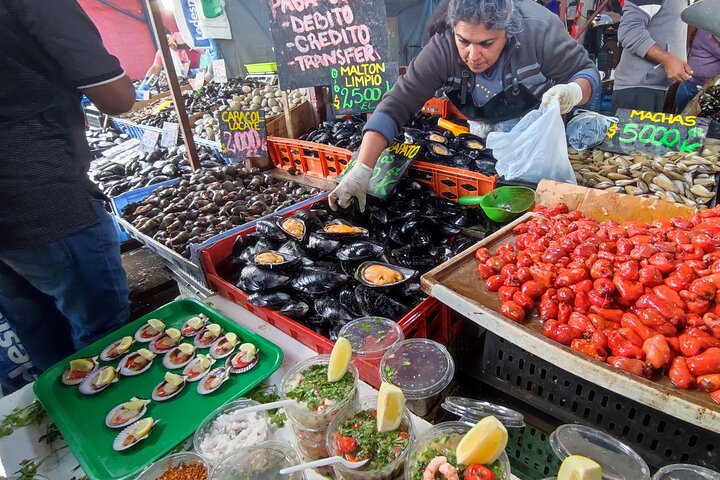 San Antonio to Valparaiso Private Tour with Santiago Drop Off