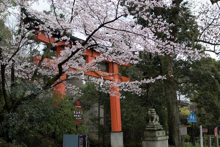 Uji Tea Ceremony and UNESCO Heritage Walking Tour