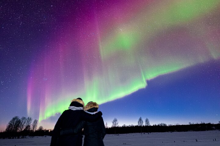Rovaniemi: Northern Lights Group Tour - Guaranteed View
