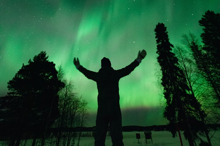 Rovaniemi: Northern Lights Pro Guaranteed - Unlimited Distance