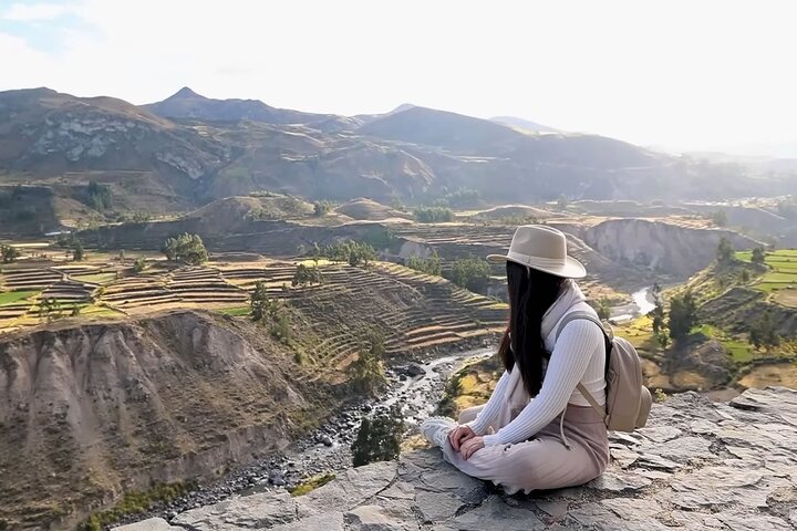 2 Days and 1 Night Tour from Puno to Colca Canyon and Arequipa