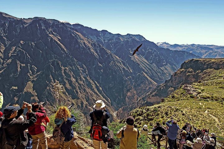 2 Days and 1 Night Tour from Puno to Colca Canyon and Arequipa