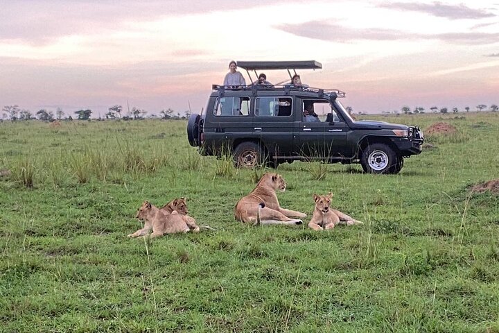 Queen Elizabeth National Park in Uganda 3 Days Safari Tour