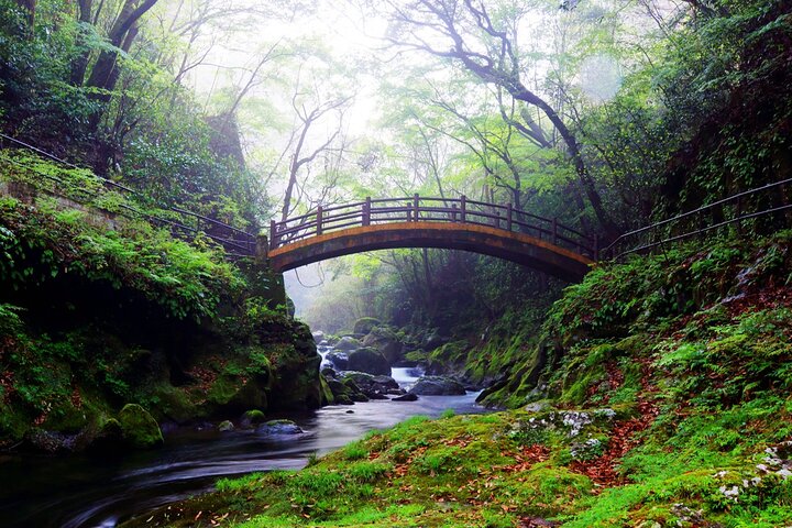 From Fukuoka: Miyazaki, Takachiho Gorge And Shrine Day Tour