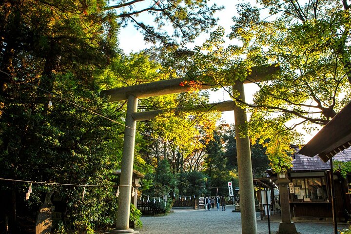 From Fukuoka: Miyazaki, Takachiho Gorge And Shrine Day Tour