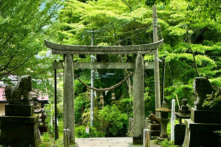 From Fukuoka: Miyazaki, Takachiho Gorge And Shrine Day Tour