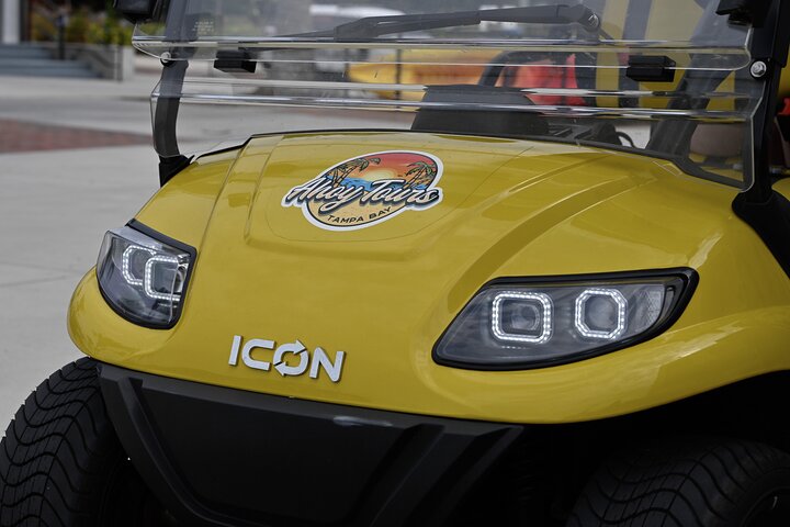 Locally-Guided Tampa Sightseeing Tour in Street-Legal Golf Cart
