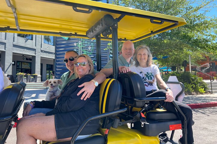 Locally-Guided Tampa Sightseeing Tour in Street-Legal Golf Cart